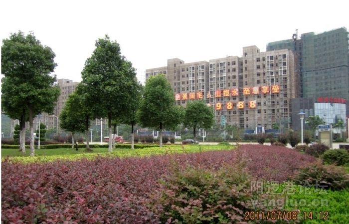 05.jpg