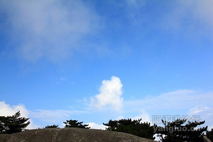 DPP_000115.jpg