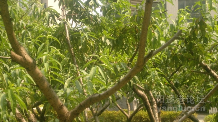 20110728211_副本.jpg