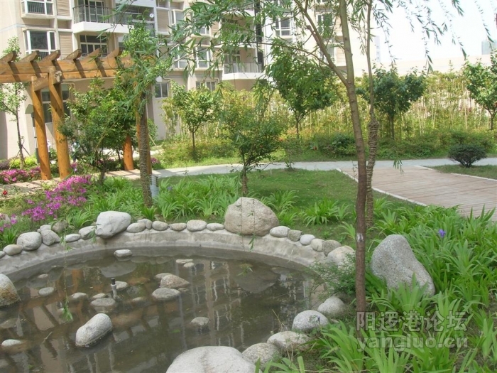 DSCN4925 (大).JPG