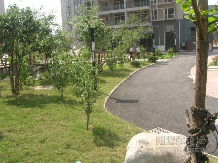 DSCN4929 (大).JPG