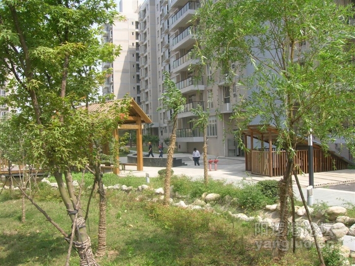 DSCN4931 (大).JPG