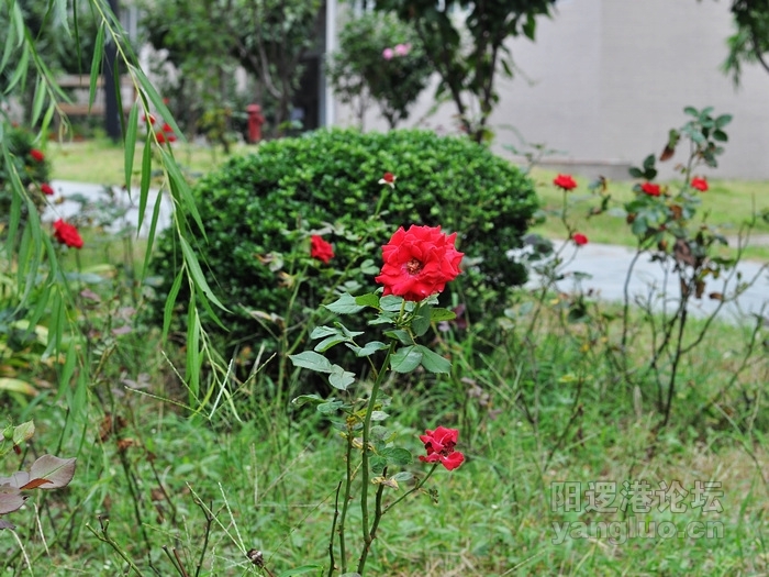 DSC_0404.JPG