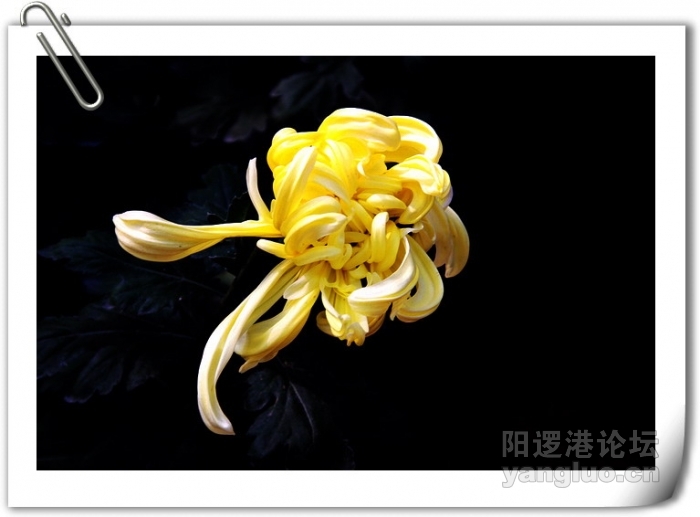 植物园 209.JPG