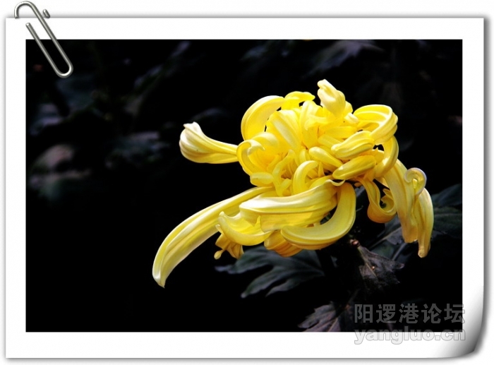 植物园 210.JPG