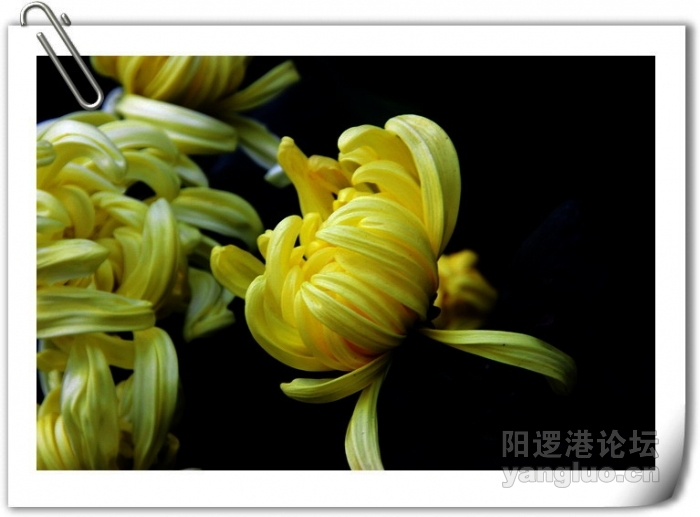 植物园 212.JPG