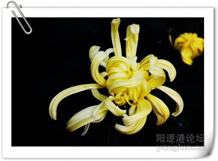 植物园 226.JPG