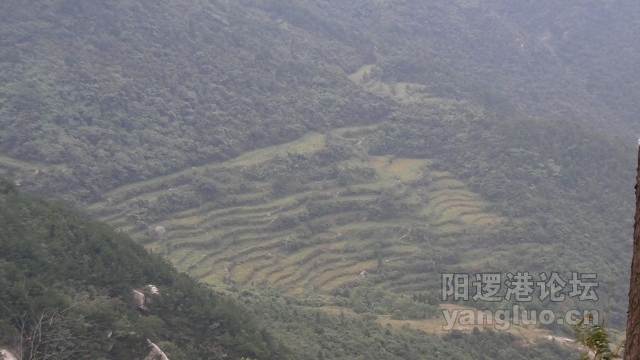 SANY0021 (640x360).jpg