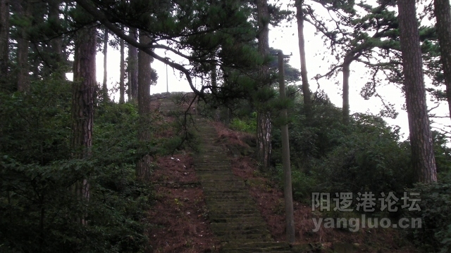 SANY0036 (640x360).jpg