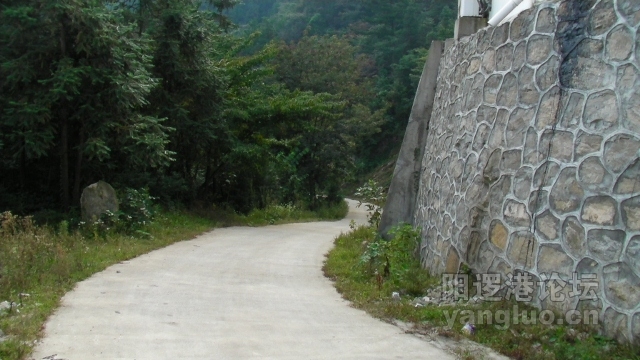SANY0050 (640x360).jpg