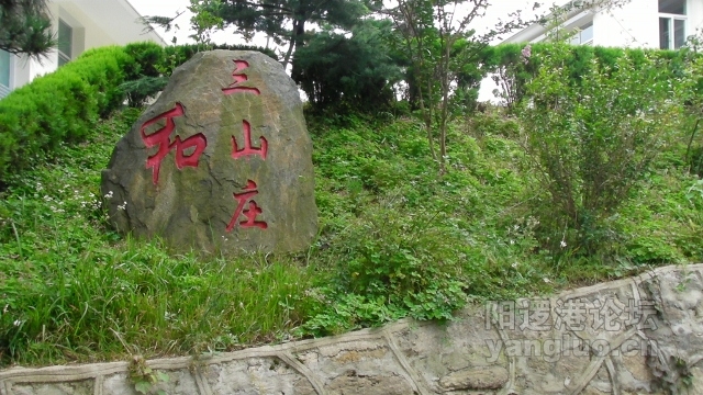 SANY0056 (640x360).jpg