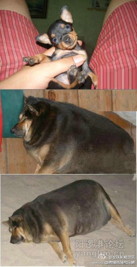 6e85cd22tw1dlozk1ka4qj.jpg