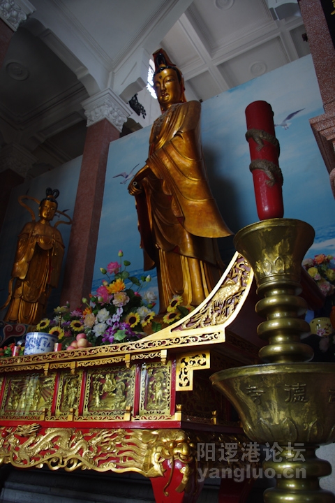 IMGP0010.jpg