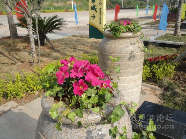 DSC00399.JPG
