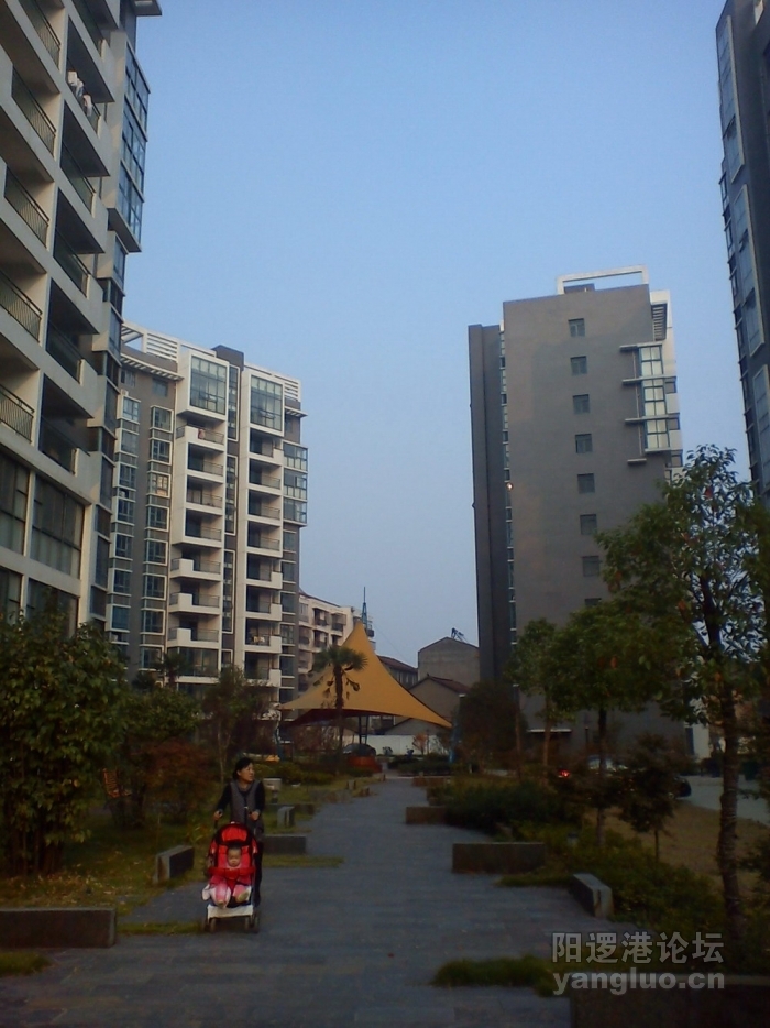 DSC00498.jpg