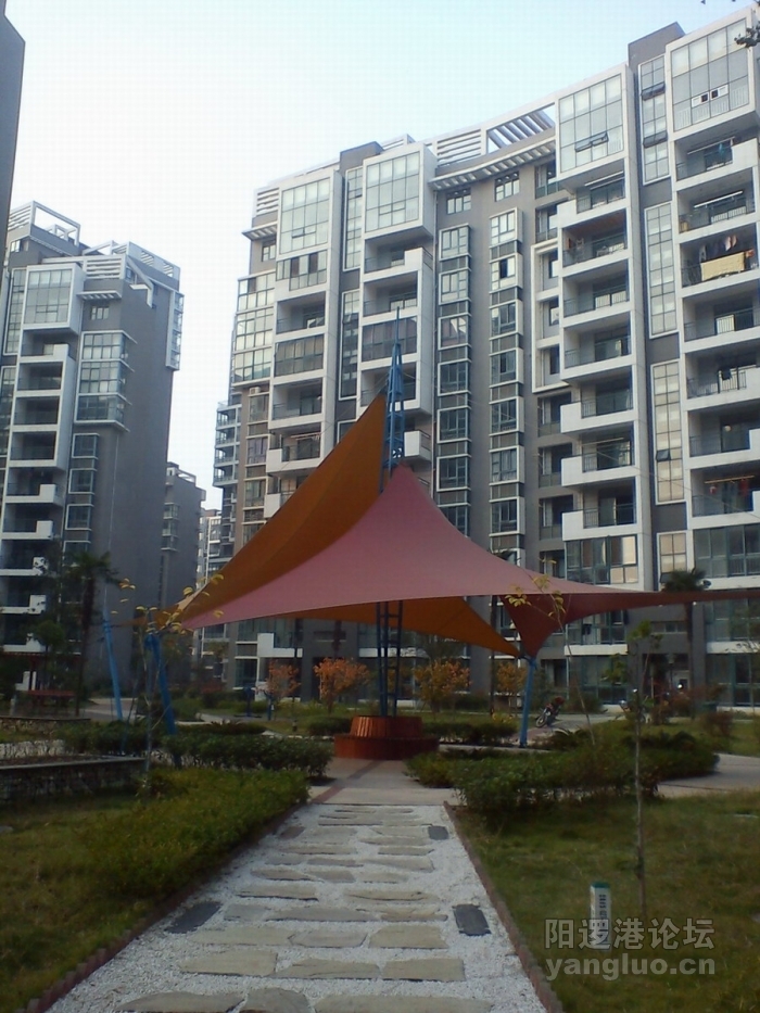 DSC00549.jpg