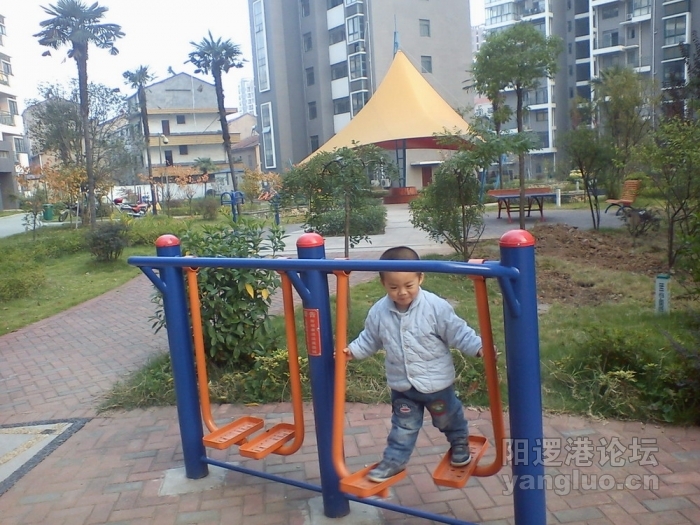 DSC00568.jpg