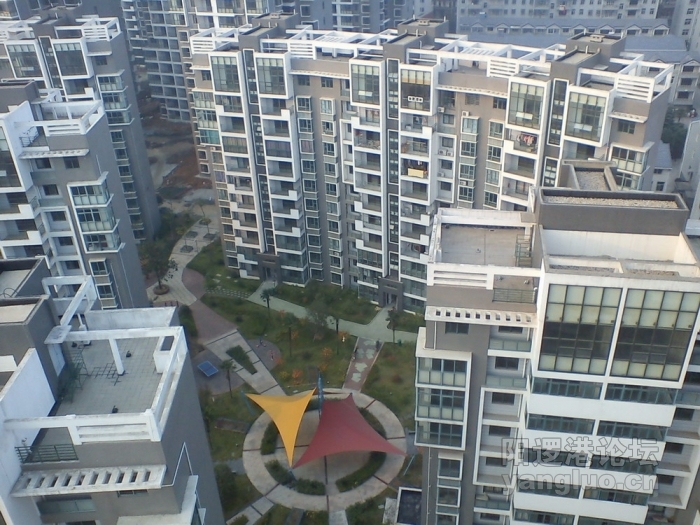DSC00517.jpg