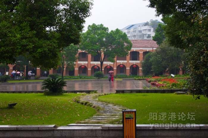 IMGP0286.jpg