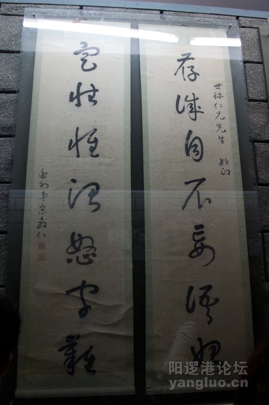 IMGP0245.jpg