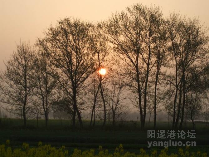 消失的夕阳.jpg
