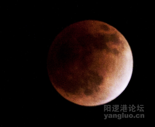 600红月亮20111210.jpg