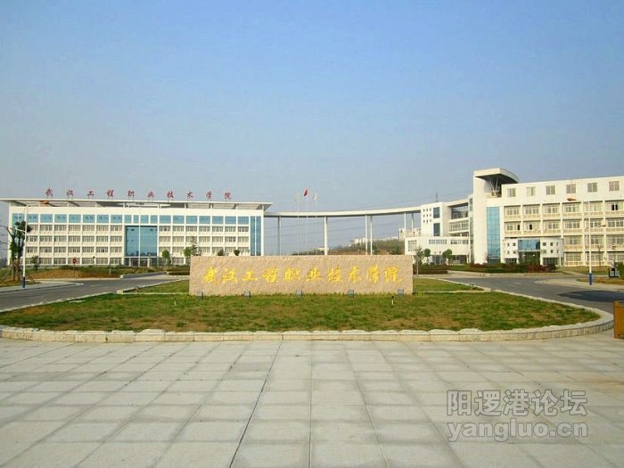 001.JPG