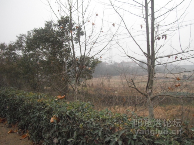 DSCF1025.JPG