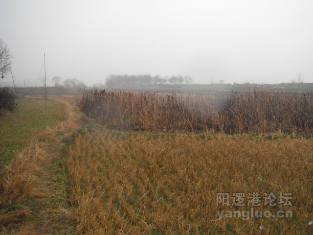 DSCF1035.JPG