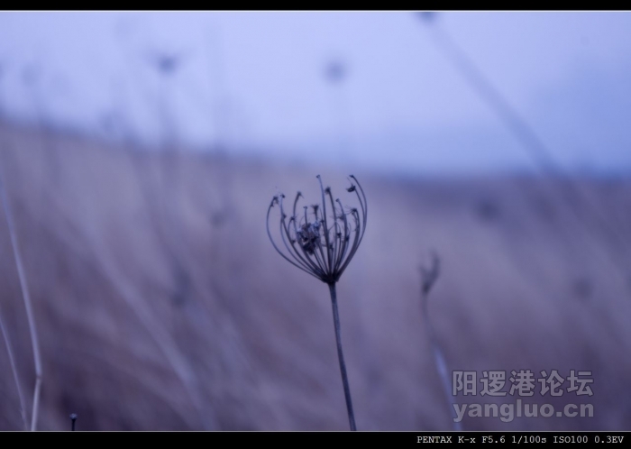 _IGP0060.jpg