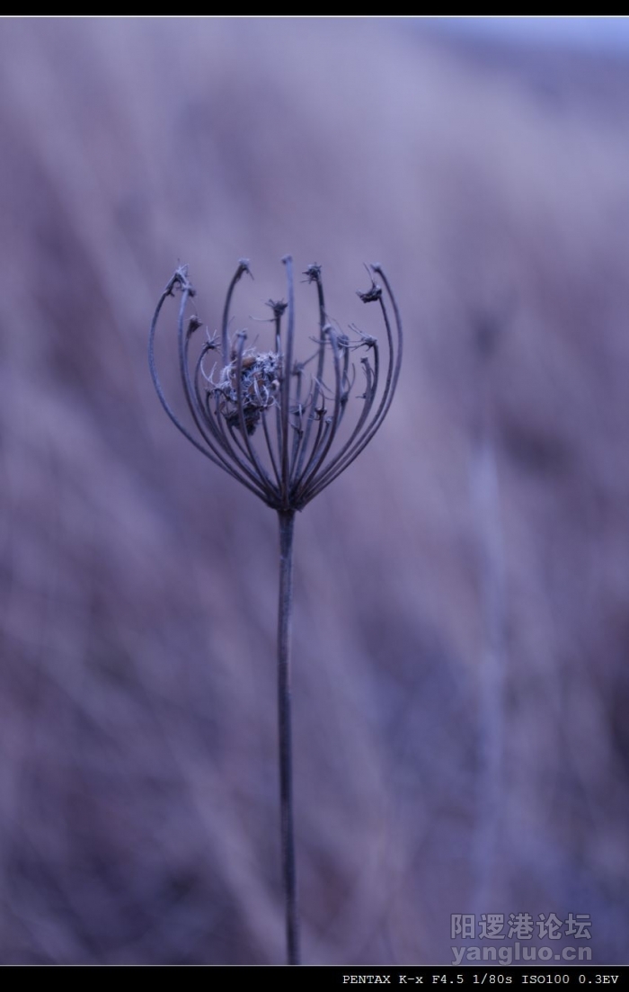 _IGP0061.jpg