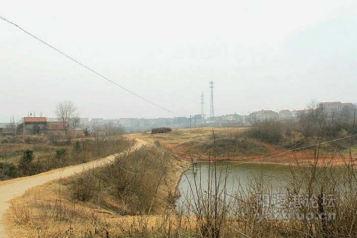 10.JPG