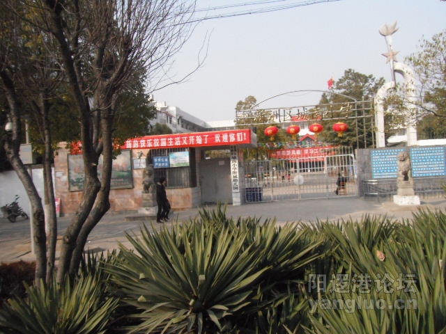 DSCF1288.JPG