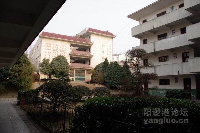 _IGP0012.jpg