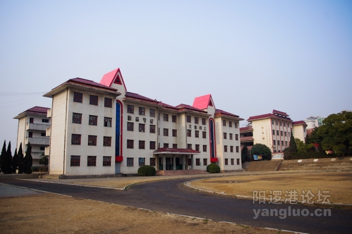 _IGP0017.jpg