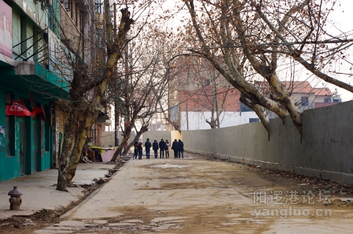 _IGP0025.jpg