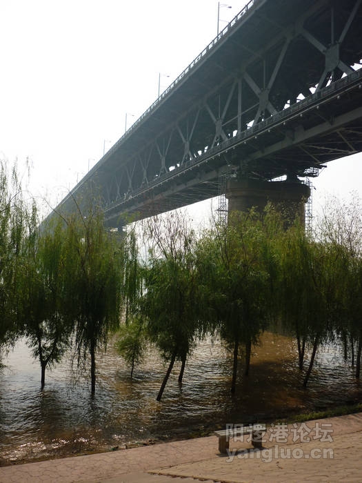 P1020115.JPG