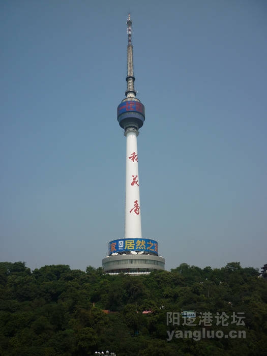 P1020150.JPG