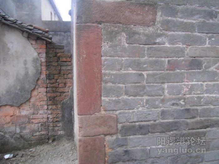DSCF1399.JPG