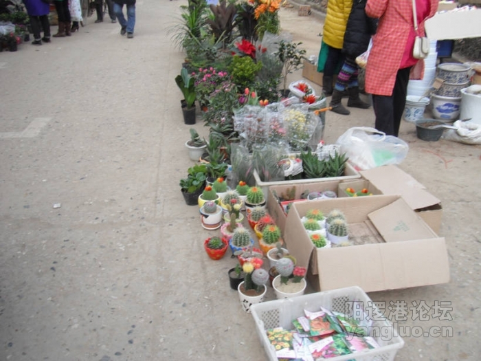DSCF1422.JPG