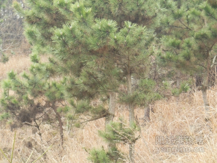 DSCN0145.jpg