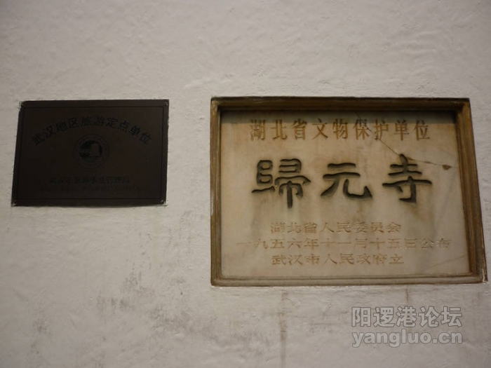 P1020653.JPG