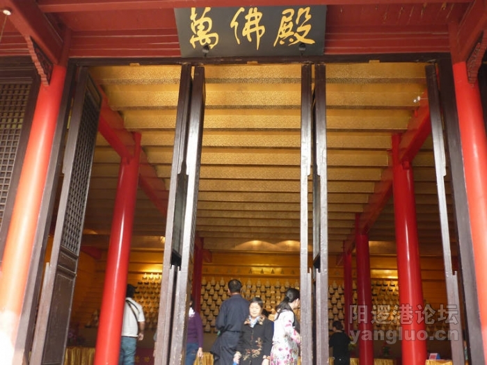 P1020593.JPG