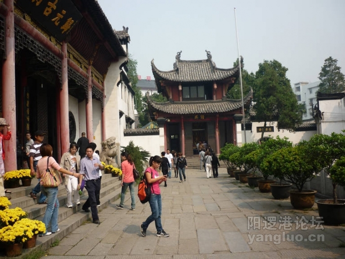 P1020599.JPG