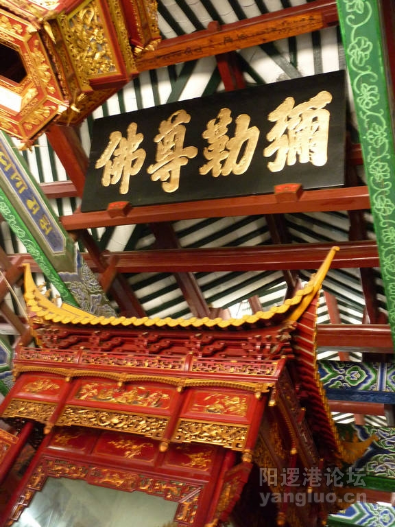 P1020618.JPG