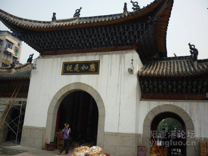 P1020649.JPG