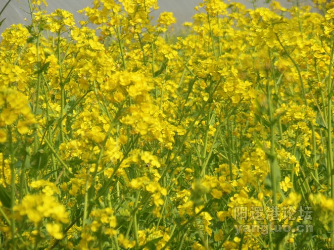 DSCN0360.jpg