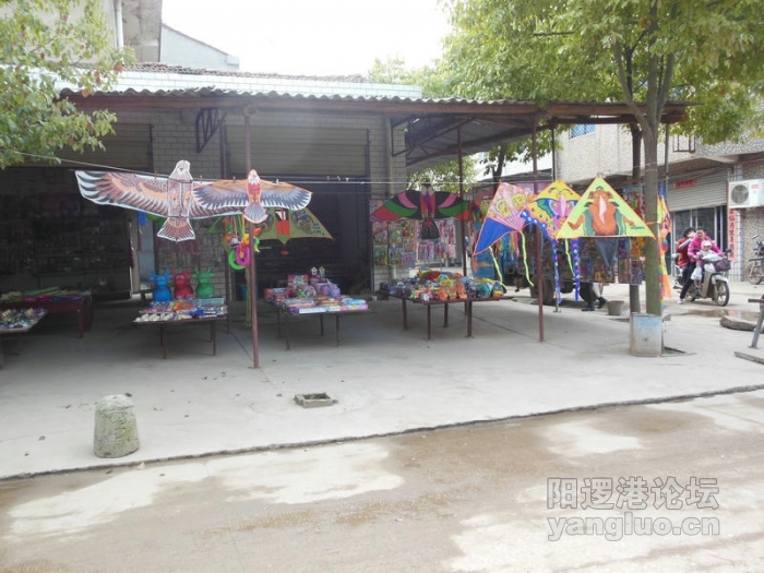 DSCN0466.jpg