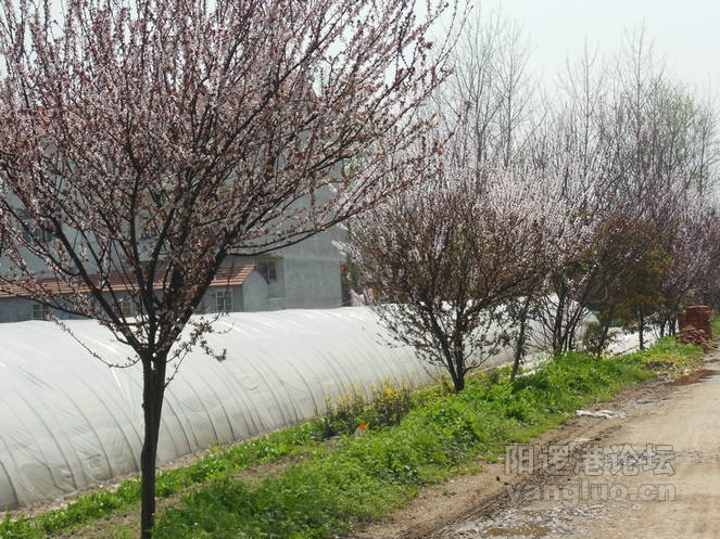 DSCN0507.jpg