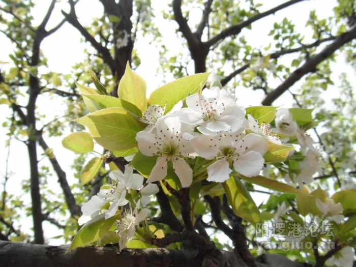 DSCF1645.JPG